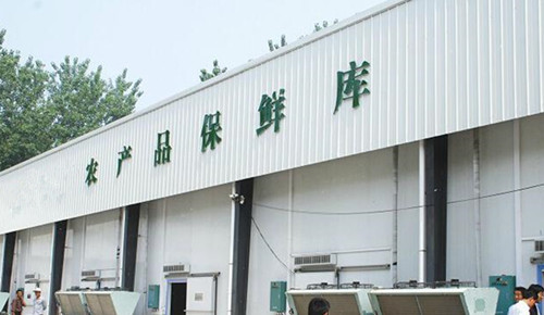 资阳水果冻库设计